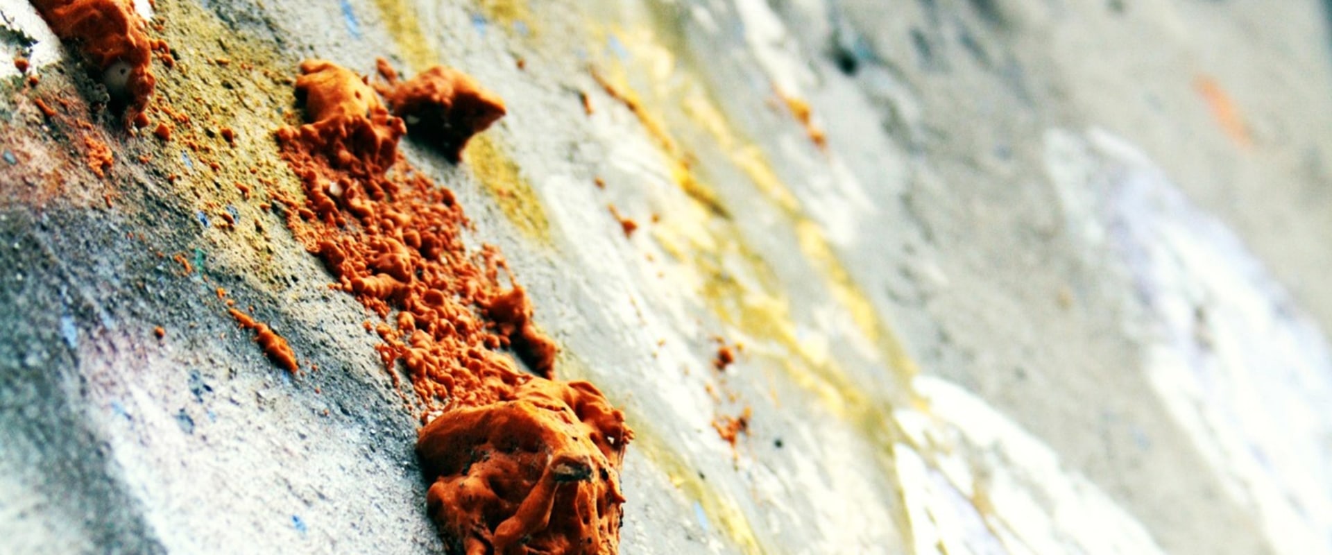 Understanding Concrete Repair and Mold Removal Costs in South Salt Lake