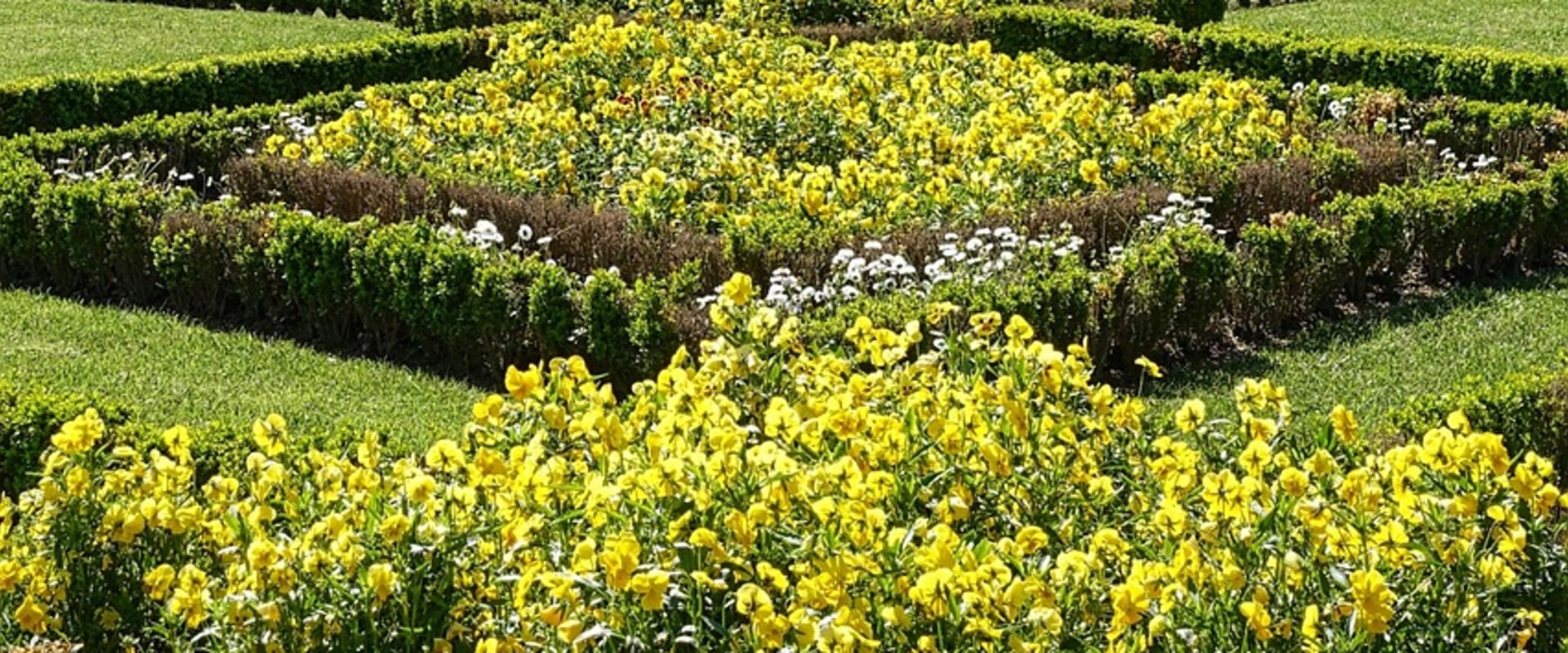 How a Beautiful Flower Garden in Portland Can Thrive Even with Concrete Repair Needs