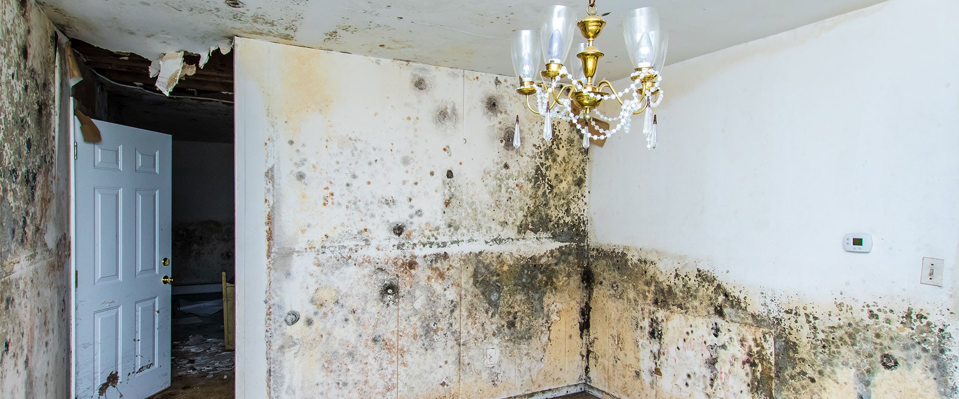 How A Restoration Service Assists Homeowners In Florida With Concrete Repair And Water Damage Cleanup