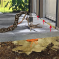 Concrete Repair Insights for Homeowners Managing Water-Related Issues