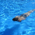 Transform Your Pool with Expert Concrete Repair and Remodeling