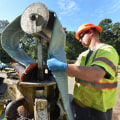 Cured In Place Pipelining Services: A Modern Approach To Concrete Repair In Vancouver, Washington