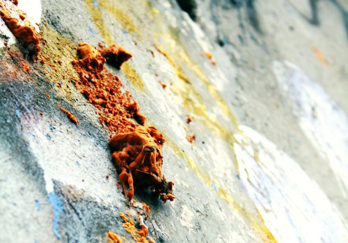 Understanding Concrete Repair and Mold Removal Costs in South Salt Lake