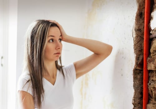 How A Restoration Service Assists Homeowners In Florida With Concrete Repair And Water Damage Cleanup
